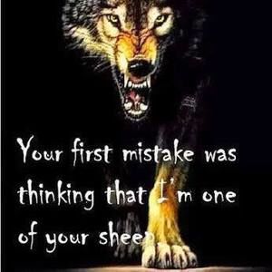 Meet your Posher, Hugh